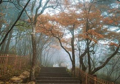 黄山旅游攻略  黄山门票是多少