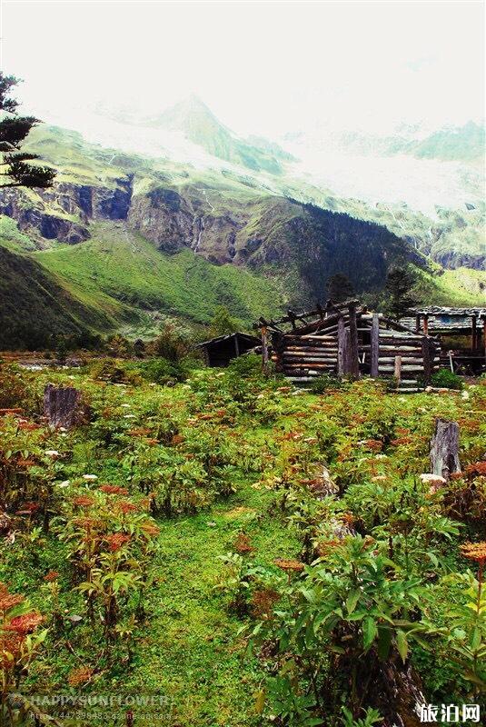 怎样成为旅游体验师