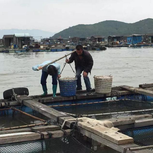 如何找到潮汕本地正宗的美食