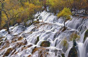 九寨沟旅游自助游攻略 九寨沟旅游多少钱 九寨沟旅游纯团玩