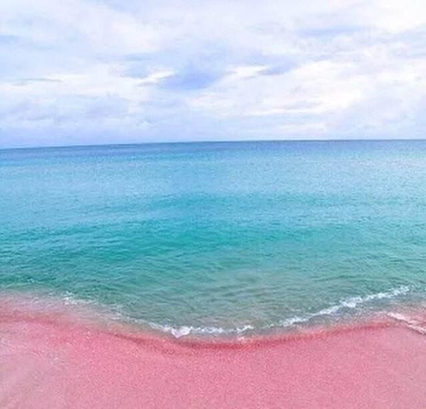 巴哈马粉色沙滩旅游 巴哈马粉色沙滩在哪里 巴哈马粉色沙滩怎么去