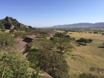 坦桑尼亚东非大草原safari旅游攻略