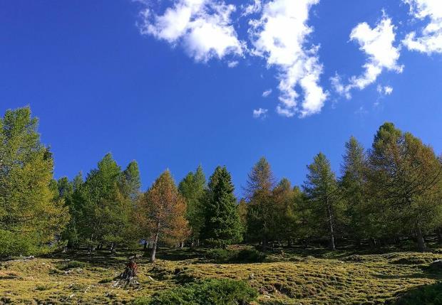 巴里坤游记 巴里坤景点介绍