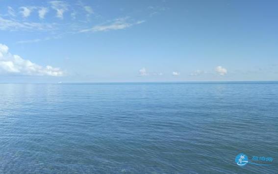 青海湖一日游攻略 青海湖一日游游记