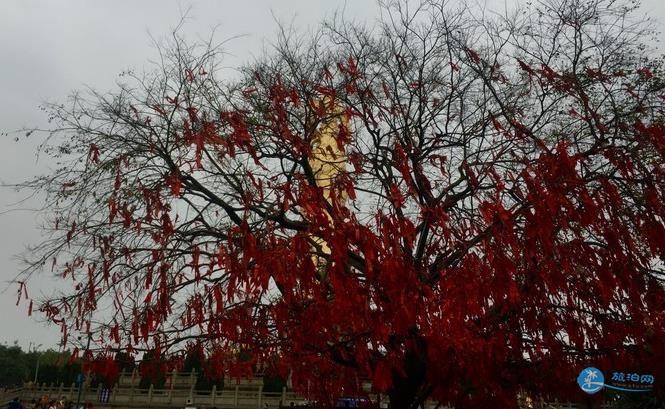 2018年广州番禺莲花山门票多少钱+旅游攻略