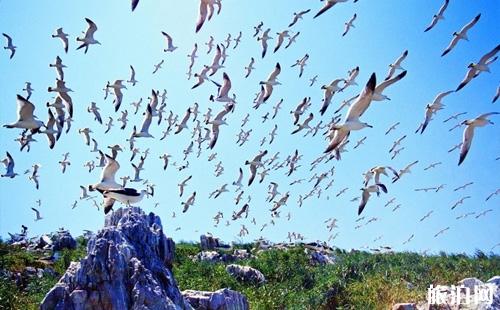 威海国际海水浴场怎么去