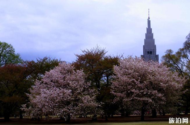 学生能单独办日本签证吗 老人能单独办日本签证吗