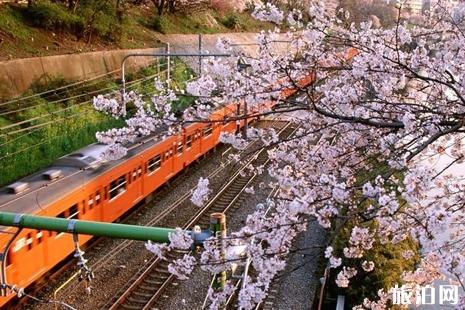 日本探亲访友签证材料有哪些 日本探亲访友签证详细