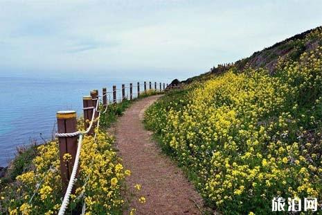 中国哪里直飞济州岛 济州岛机场叫什么 济州国际机场攻略