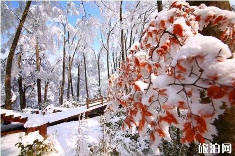 米仓山景区免门票政策 光雾山大坝滑雪场价格