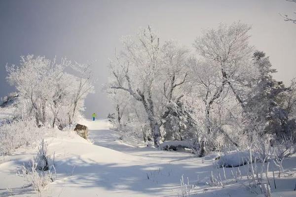 崇礼滑雪场价格大全