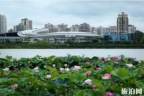 2019中国遂宁国际莲花灯会 时间+地点