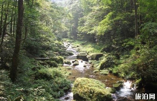 张家界国家森林公园旅游不住在山上可以吗