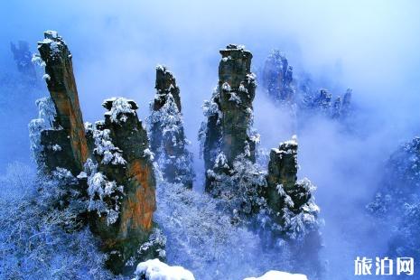 张家界下雪会封山吗 张家界什么时候下雪 冬天去张家界怎么玩