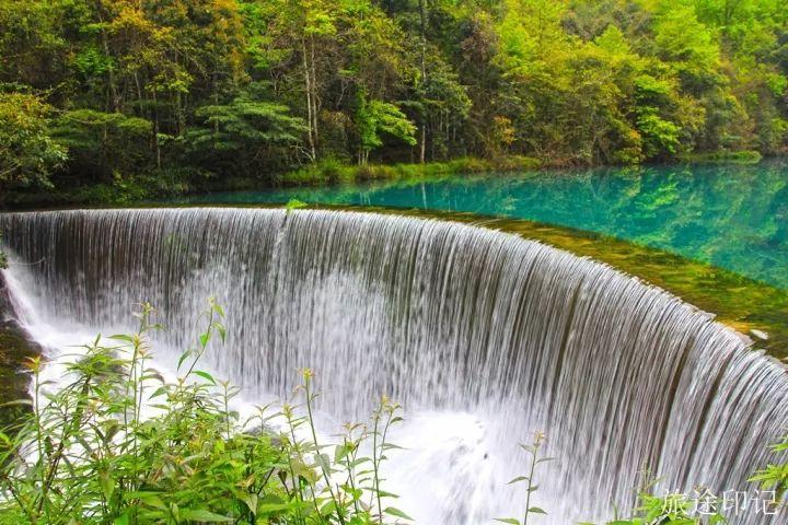 水上森林在哪 水上森林攻略