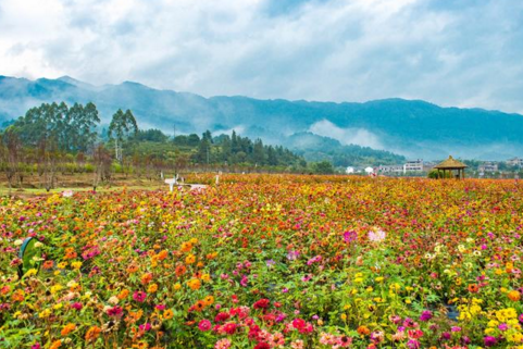 黄姚花海适合什么时候去  黄姚花海门票是多少