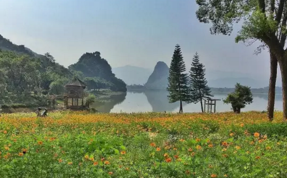 天鹅湖在哪里  天鹅湖旅游攻略