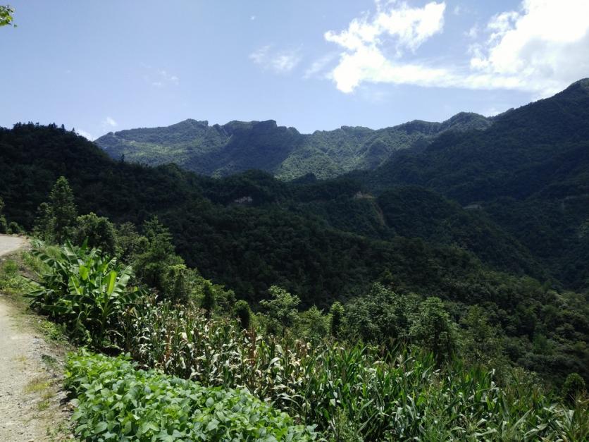 曹家坳中岭镇好玩吗