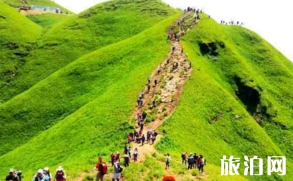 武功山到底是安福县的还是萍乡市的 武功山在江西哪里  武功山一日游攻略 爬武功山需要准备些什么