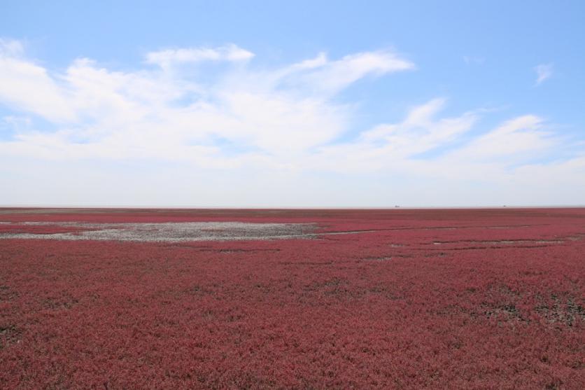 红海滩自驾游攻略 盘锦有什么旅游景点