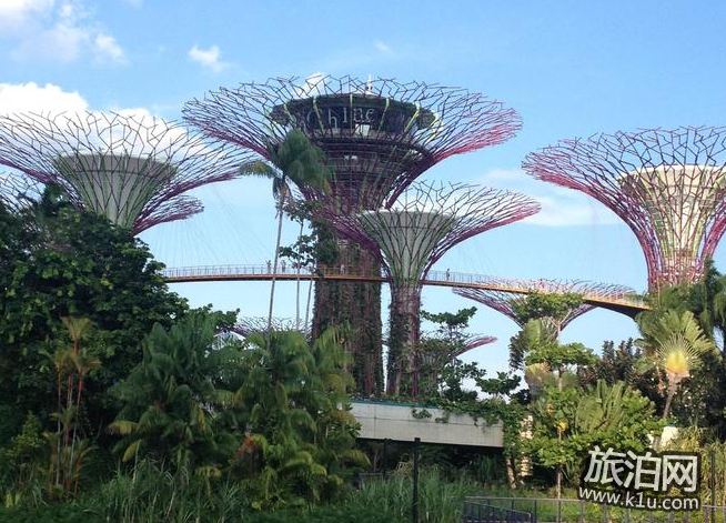 新加坡滨海湾公园好玩吗 新加坡滨海湾公园游记