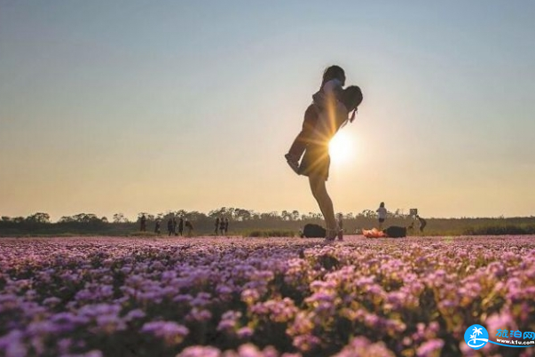 鄱阳湖看花海在哪里 鄱阳湖花海什么时候看