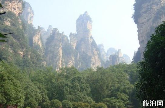 天门山半天够玩吗 天门山需要游玩时间是多久