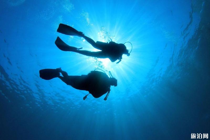 考潜水证有哪些注意事项 潜水证怎么考