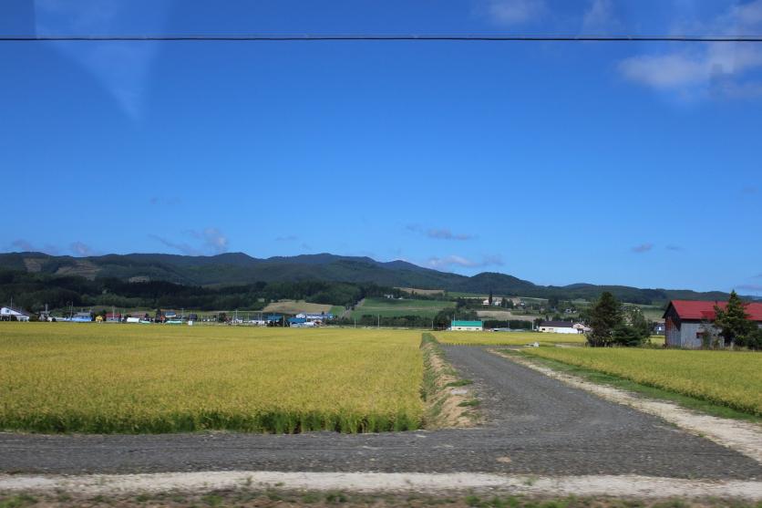 日本全家游旅游攻略