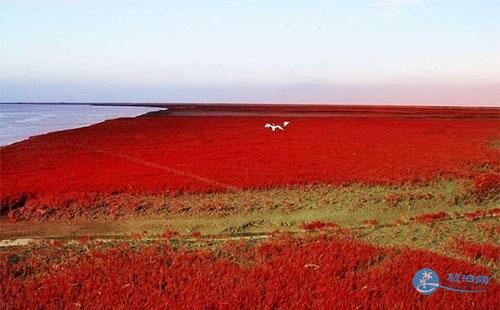 红海滩风景廊道门票多少钱 红海滩风景廊道门票价格