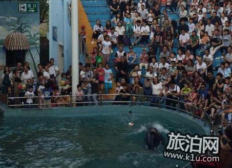 2018上海野生动物园游玩攻略 上海野生动物园游玩好玩吗