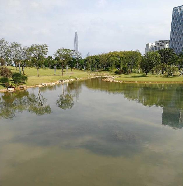 香蜜公园停车场在哪 大不大