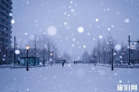 2019年春节会下雪吗 春节冷不冷 