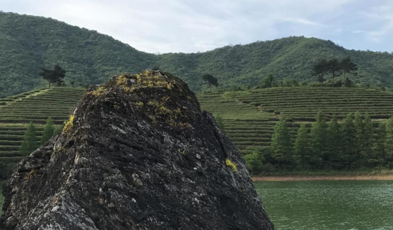 有谁去过金华北山露营  去那里露营怎么样