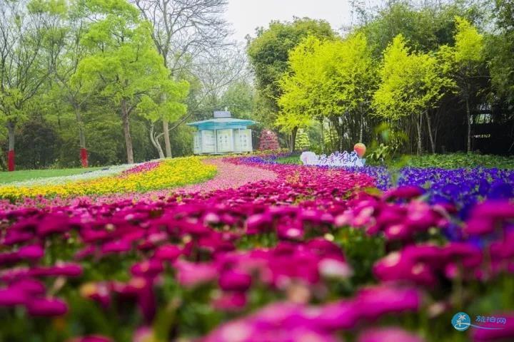 西溪湿地自助游旅游攻略