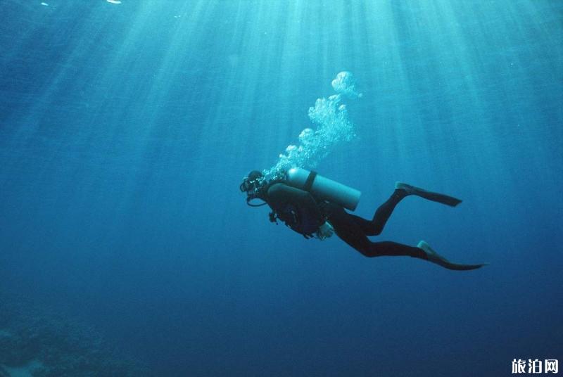 考潜水证有哪些注意事项 潜水证怎么考