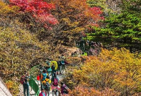 黄山旅游攻略  黄山门票是多少