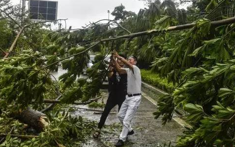 台风天鸽的威力有多大  台风天鸽造成伤亡人数达到多少