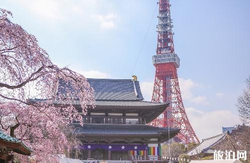 带孩子东京一周旅游需要带多少钱