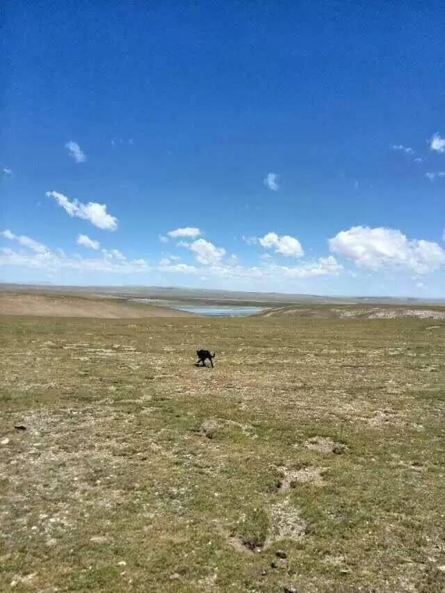 西藏自驾游旅游线路图 西藏自驾游规划