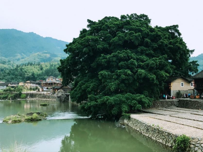 去厦门住哪里比较方便 厦门什么时候去最好