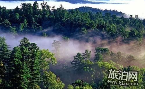 去汤旺河林海奇石景区怎么走 汤旺河林海奇石景区门票多少钱