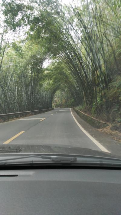 蜀南竹海有哪些景点 好玩吗