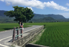 宝岛台湾必去的旅游景点有哪些