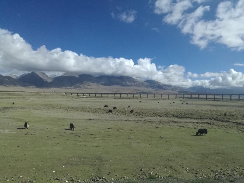 西藏自由行应该注意什么事项 西藏旅行有哪些好玩的景点