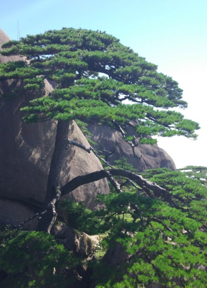 去黄山到哪个火车站下 黄山旅游交通攻略