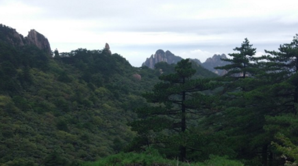 去黄山到哪个火车站下 黄山旅游交通攻略