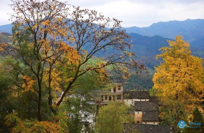 石潭 木梨硔 塔川风景照片