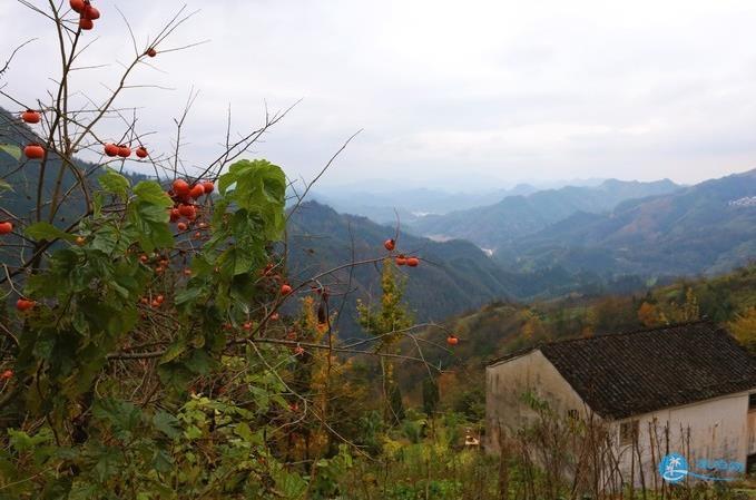 石潭 木梨硔 塔川风景照片