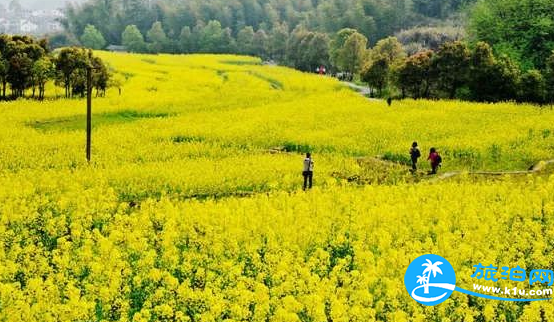 2018南昌春天赏花攻略